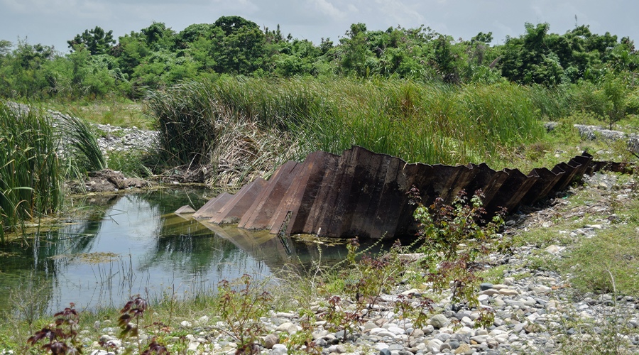 Impacto Ambiental: Tipos, Causas Y Soluciones