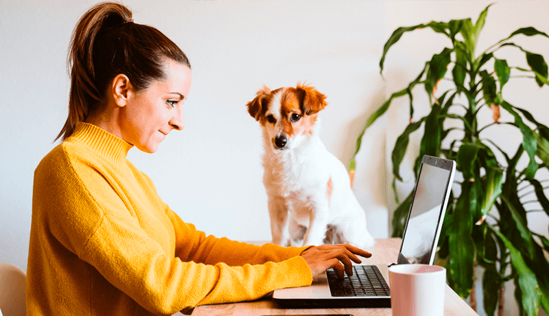Hombres y mujeres trabajan alegremente en casa con horarios flexibles junto a sus mascotas